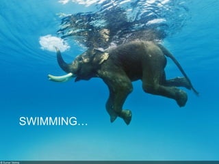 Swimming
SWIMMING…
 