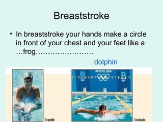Breaststroke
• In breaststroke your hands make a circle
in front of your chest and your feet like a
…frog……………………
dolphin
 