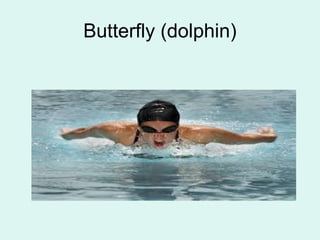 Butterfly (dolphin)
 