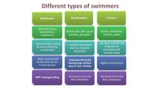Fish Swimming mode in aquatic environment | PPT