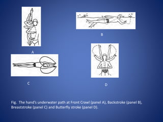 Fig. The hand’s underwater path at Front Crawl (panel A), Backstroke (panel B),
Breaststroke (panel C) and Butterfly stroke (panel D).
A
B
C D
 