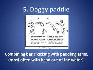 Swimming ppt