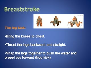 Swimming ppt