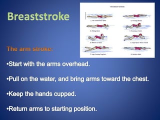 Swimming ppt