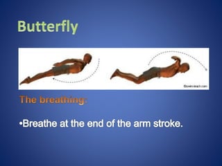 Swimming ppt
