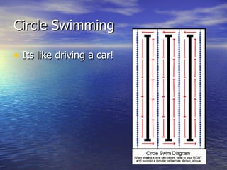 Circle Swimming Its like driving a car! 