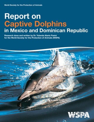 World Society for the Protection of Animals
Research done and written by Dr. Yolanda Alaniz Pasini
for the World Society for the Protection of Animals (WSPA)
Report on
Captive Dolphins
in Mexico and Dominican Republic
 