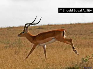 IT Should Equal Agility
Picture Taker 2
 