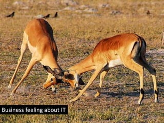 Business feeling about IT
 