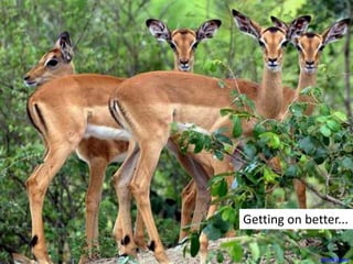 Getting on better...
Arno & Louise
 