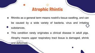 Swine-Diseases. For agriculture education | PDF