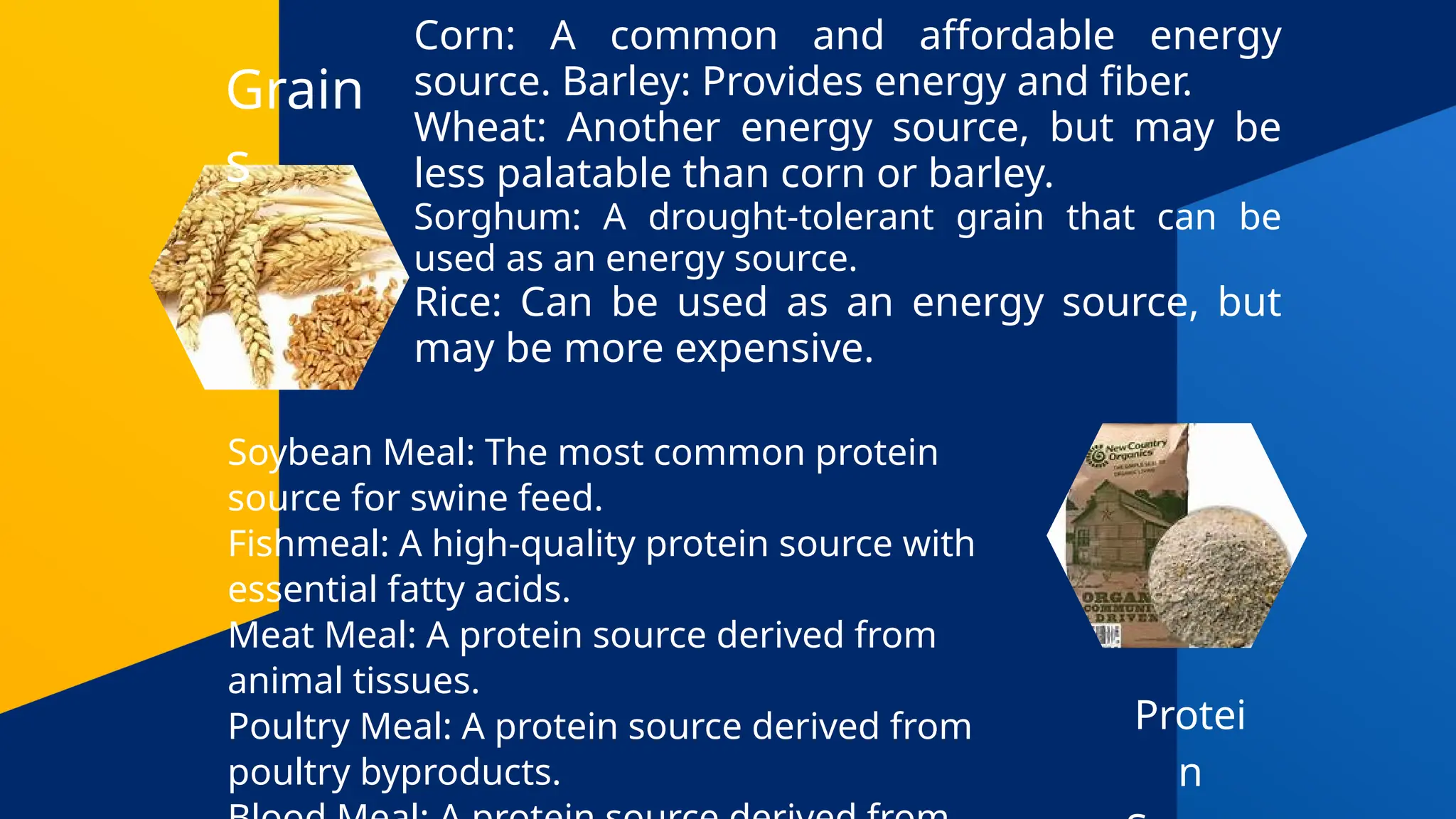 Grain
s
Corn: A common and affordable energy
source. Barley: Provides energy and fiber.
Wheat: Another energy source, but may be
less palatable than corn or barley.
Sorghum: A drought-tolerant grain that can be
used as an energy source.
Rice: Can be used as an energy source, but
may be more expensive.
Protei
n
Soybean Meal: The most common protein
source for swine feed.
Fishmeal: A high-quality protein source with
essential fatty acids.
Meat Meal: A protein source derived from
animal tissues.
Poultry Meal: A protein source derived from
poultry byproducts.
 