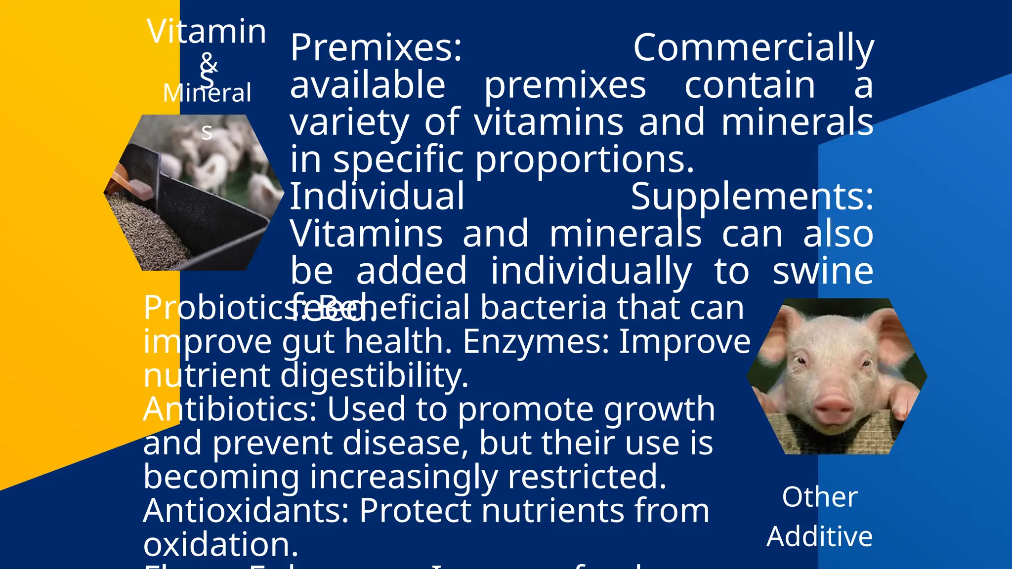 Vitamin
s
Premixes: Commercially
available premixes contain a
variety of vitamins and minerals
in specific proportions.
Individual Supplements:
Vitamins and minerals can also
be added individually to swine
feed.
Other
Additive
Probiotics: Beneficial bacteria that can
improve gut health. Enzymes: Improve
nutrient digestibility.
Antibiotics: Used to promote growth
and prevent disease, but their use is
becoming increasingly restricted.
Antioxidants: Protect nutrients from
oxidation.
&
Mineral
s
 