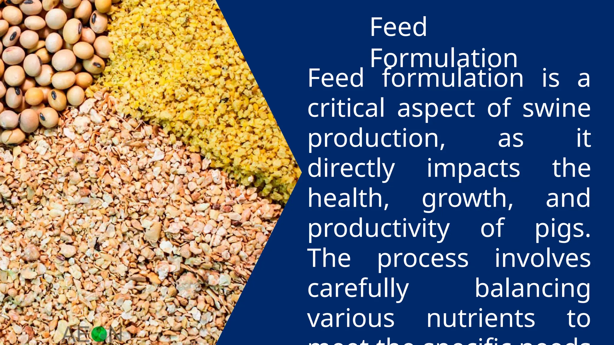 Feed
Formulation
Feed formulation is a
critical aspect of swine
production, as it
directly impacts the
health, growth, and
productivity of pigs.
The process involves
carefully balancing
various nutrients to
 