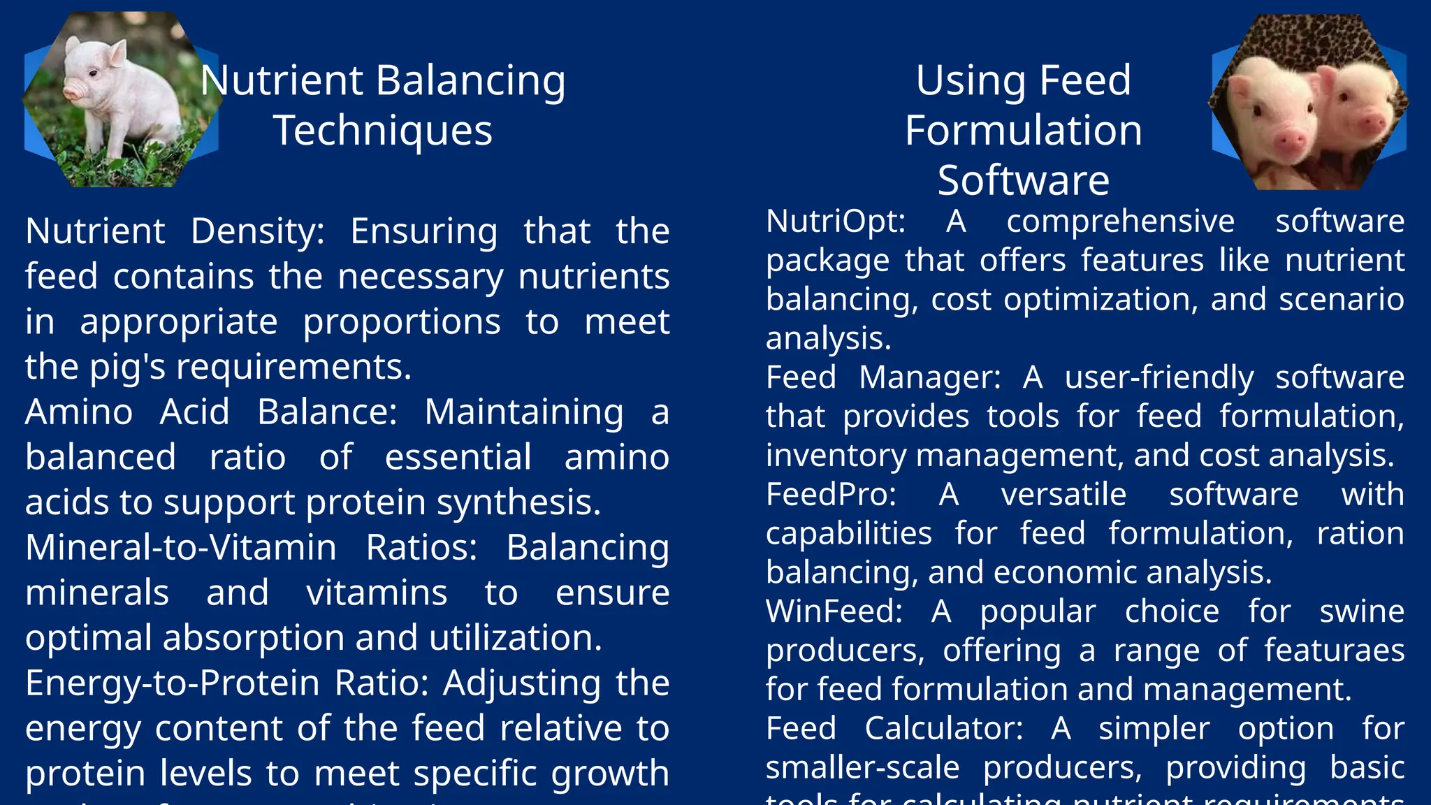 Using Feed
Formulation
Software
Nutrient Balancing
Techniques
NutriOpt: A comprehensive software
package that offers features like nutrient
balancing, cost optimization, and scenario
analysis.
Feed Manager: A user-friendly software
that provides tools for feed formulation,
inventory management, and cost analysis.
FeedPro: A versatile software with
capabilities for feed formulation, ration
balancing, and economic analysis.
WinFeed: A popular choice for swine
producers, offering a range of featuraes
for feed formulation and management.
Feed Calculator: A simpler option for
smaller-scale producers, providing basic
Nutrient Density: Ensuring that the
feed contains the necessary nutrients
in appropriate proportions to meet
the pig's requirements.
Amino Acid Balance: Maintaining a
balanced ratio of essential amino
acids to support protein synthesis.
Mineral-to-Vitamin Ratios: Balancing
minerals and vitamins to ensure
optimal absorption and utilization.
Energy-to-Protein Ratio: Adjusting the
energy content of the feed relative to
protein levels to meet specific growth
 