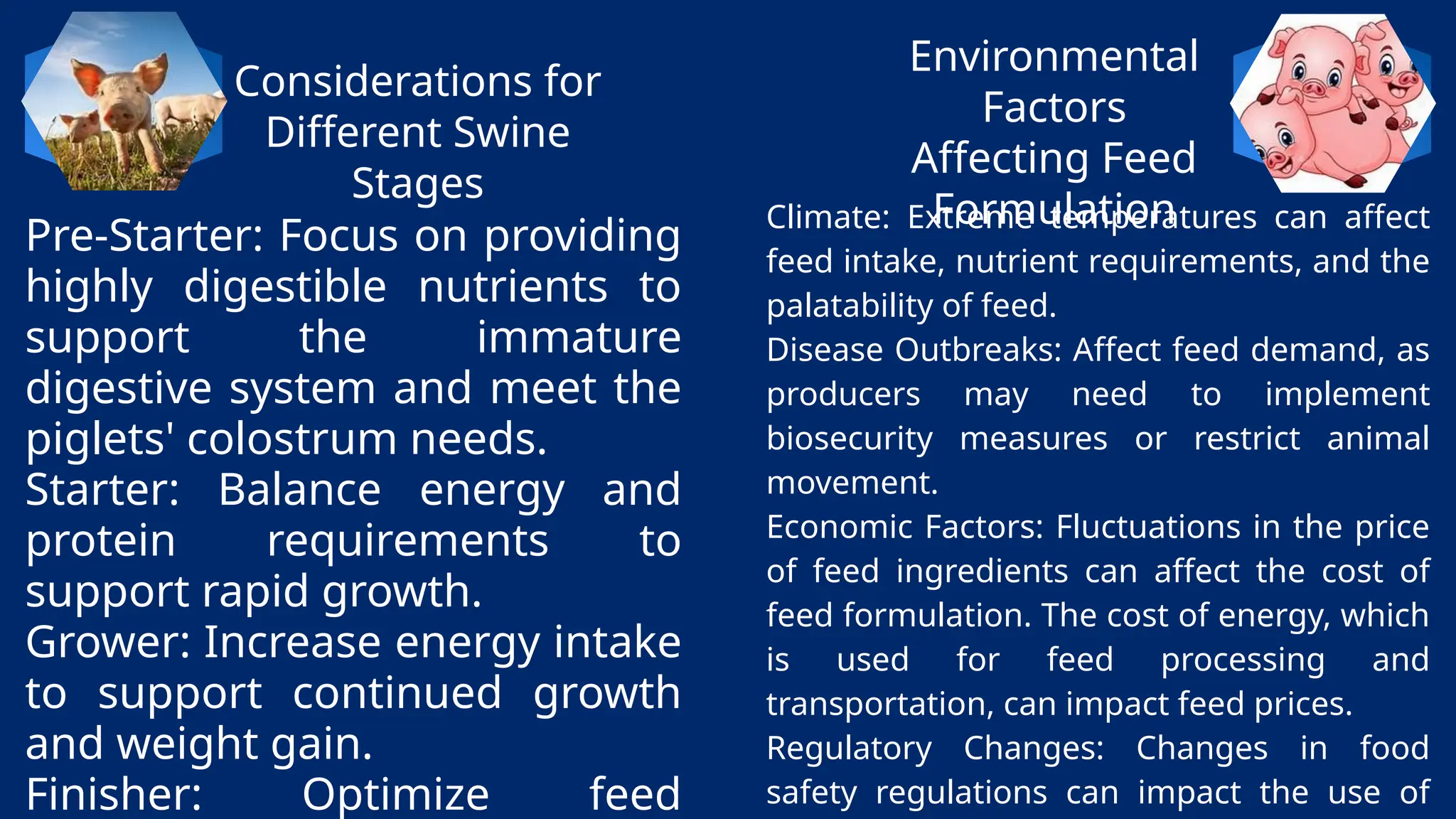 Considerations for
Different Swine
Stages
Environmental
Factors
Affecting Feed
Formulation
Climate: Extreme temperatures can affect
feed intake, nutrient requirements, and the
palatability of feed.
Disease Outbreaks: Affect feed demand, as
producers may need to implement
biosecurity measures or restrict animal
movement.
Economic Factors: Fluctuations in the price
of feed ingredients can affect the cost of
feed formulation. The cost of energy, which
is used for feed processing and
transportation, can impact feed prices.
Regulatory Changes: Changes in food
safety regulations can impact the use of
Pre-Starter: Focus on providing
highly digestible nutrients to
support the immature
digestive system and meet the
piglets' colostrum needs.
Starter: Balance energy and
protein requirements to
support rapid growth.
Grower: Increase energy intake
to support continued growth
and weight gain.
Finisher: Optimize feed
 