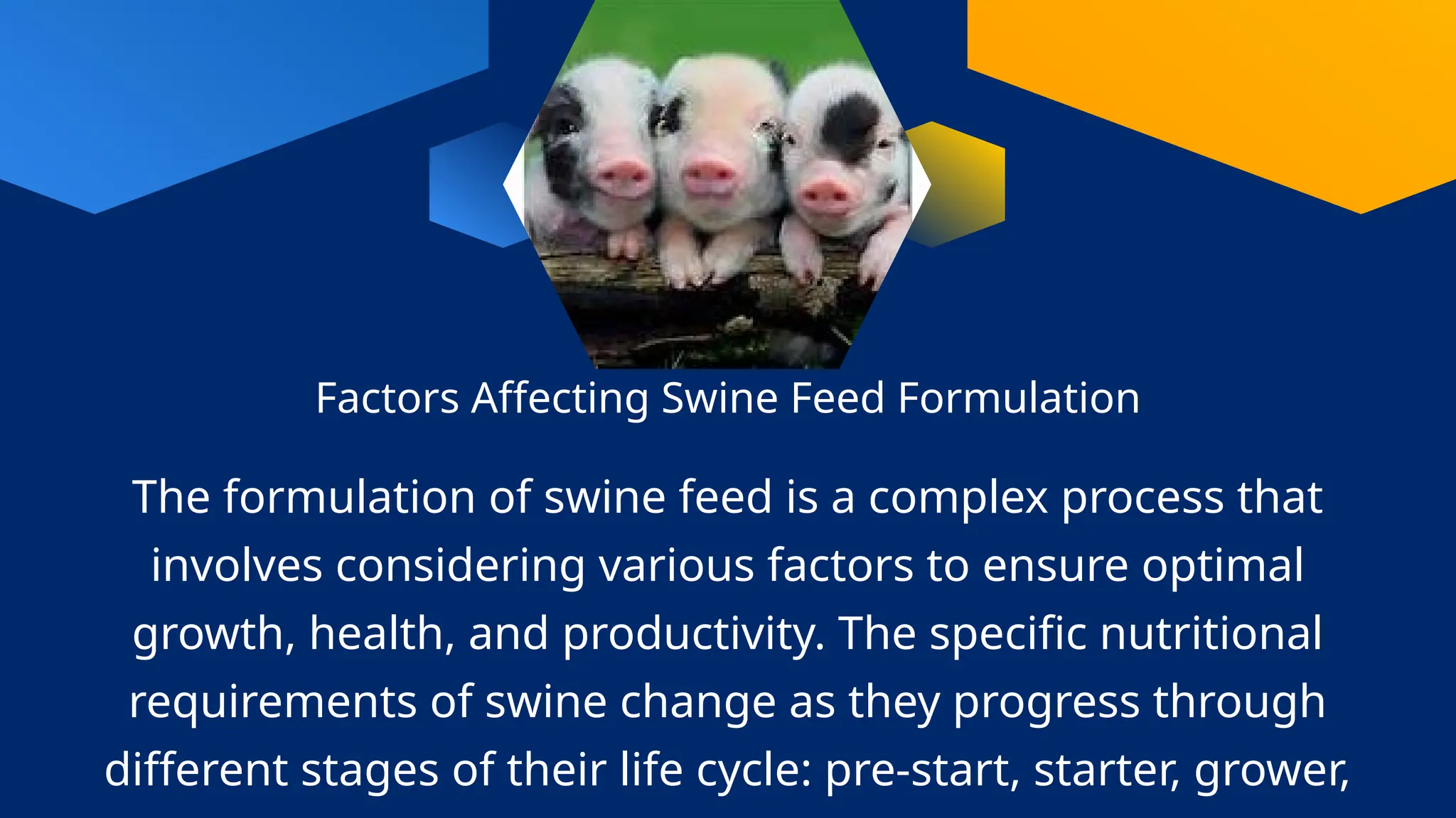 Factors Affecting Swine Feed Formulation
The formulation of swine feed is a complex process that
involves considering various factors to ensure optimal
growth, health, and productivity. The specific nutritional
requirements of swine change as they progress through
different stages of their life cycle: pre-start, starter, grower,
 