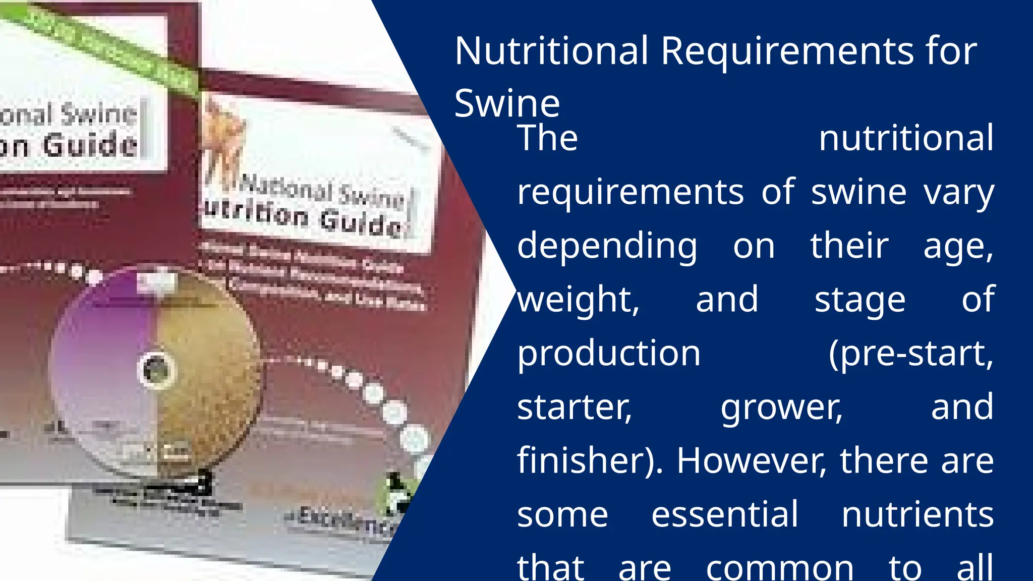 Nutritional Requirements for
Swine
The nutritional
requirements of swine vary
depending on their age,
weight, and stage of
production (pre-start,
starter, grower, and
finisher). However, there are
some essential nutrients
that are common to all
 