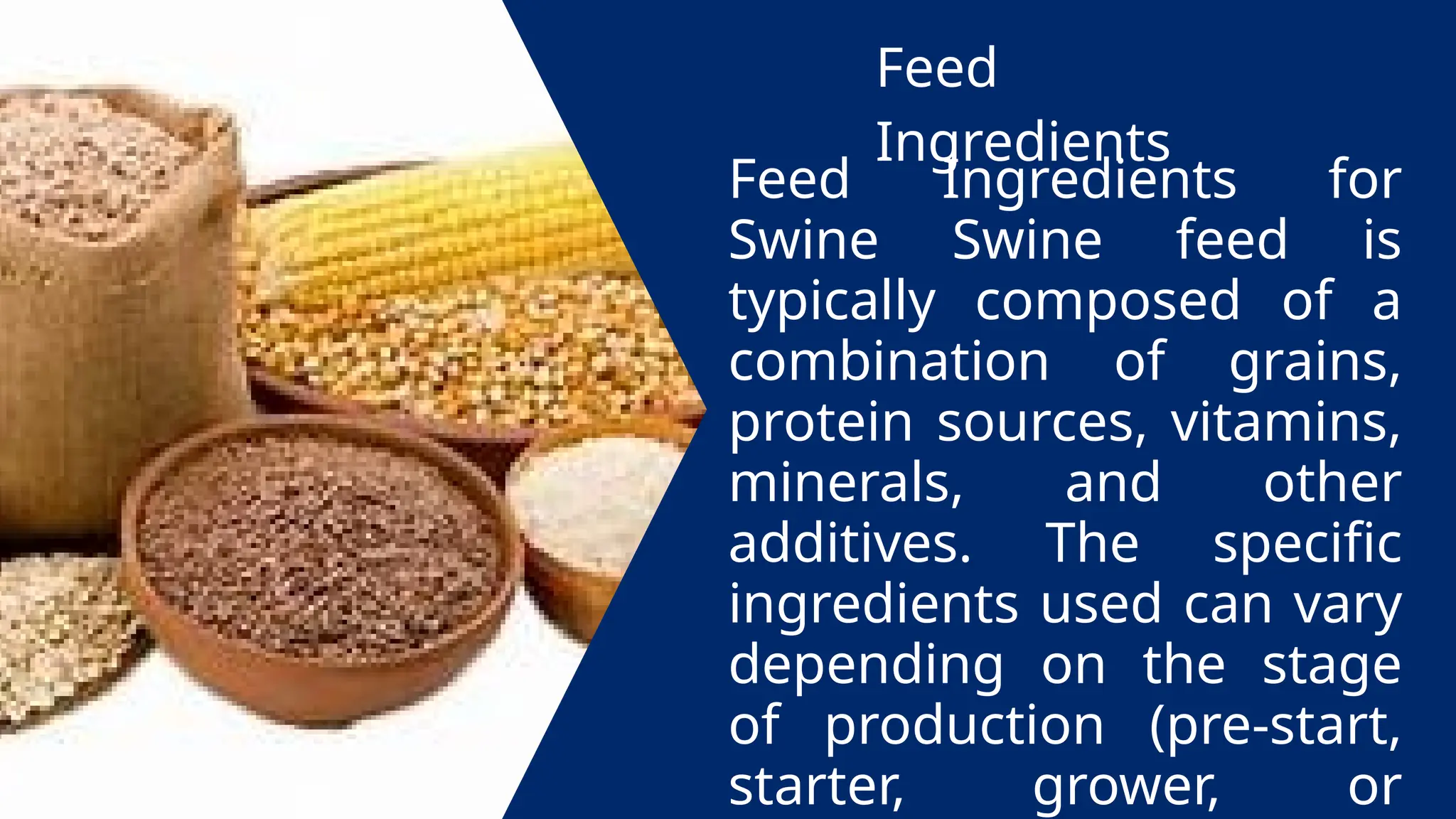 Feed
Ingredients
Feed Ingredients for
Swine Swine feed is
typically composed of a
combination of grains,
protein sources, vitamins,
minerals, and other
additives. The specific
ingredients used can vary
depending on the stage
of production (pre-start,
starter, grower, or
 