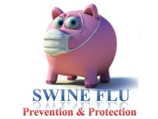 Swine Flu Prevention & Protection 