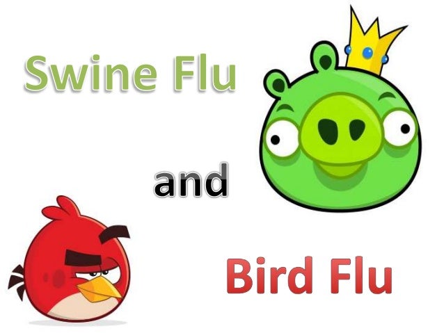 Swine Flu And Bird Flu