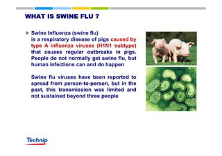 Swine Flu Influenza | PDF