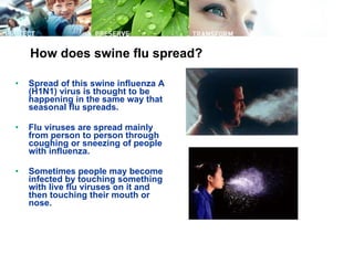 How does swine flu spread?  Spread of this swine influenza A (H1N1) virus is thought to be happening in the same way that seasonal flu spreads.  Flu viruses are spread mainly from person to person through coughing or sneezing of people with influenza.  Sometimes people may become infected by touching something with live flu viruses on it and then touching their mouth or nose.  