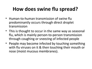 Swine flu-presentation-final | PPT