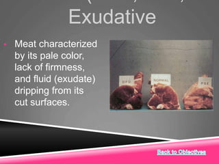 Exudative
• Meat characterized
by its pale color,
lack of firmness,
and fluid (exudate)
dripping from its
cut surfaces.
 