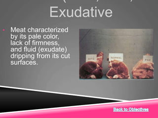Exudative
• Meat characterized
by its pale color,
lack of firmness,
and fluid (exudate)
dripping from its cut
surfaces.
 