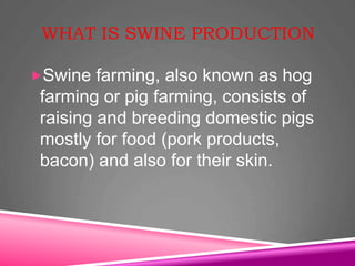 WHAT IS SWINE PRODUCTION
Swine farming, also known as hog
farming or pig farming, consists of
raising and breeding domestic pigs
mostly for food (pork products,
bacon) and also for their skin.
 
