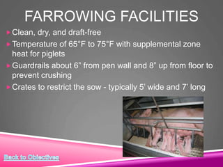 FARROWING FACILITIES
Clean, dry, and draft-free
Temperature of 65°F to 75°F with supplemental zone
heat for piglets
Guardrails about 6” from pen wall and 8” up from floor to
prevent crushing
Crates to restrict the sow - typically 5’ wide and 7’ long
 