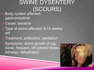 SWINE DYSENTERY
(SCOURS)
Body system affected:
gastrointestinal
Cause: bacteria
Type of swine affected: 8-14 weeks
old
Treatment: antibiotics, sanitation
Symptoms: slows growth of pig;
loose, frequent, off-colored feces;
lethargy; dehydration
 