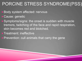 PORCINE STRESS SYNDROME(PSS)
Body system affected: nervous
Cause: genetic
Symptoms/signs: the onset is sudden with muscle
tremors, twitching of the face and rapid respiration,
skin becomes red and blotched.
Treatment: ineffective
Prevention: cull animals that carry the gene
 