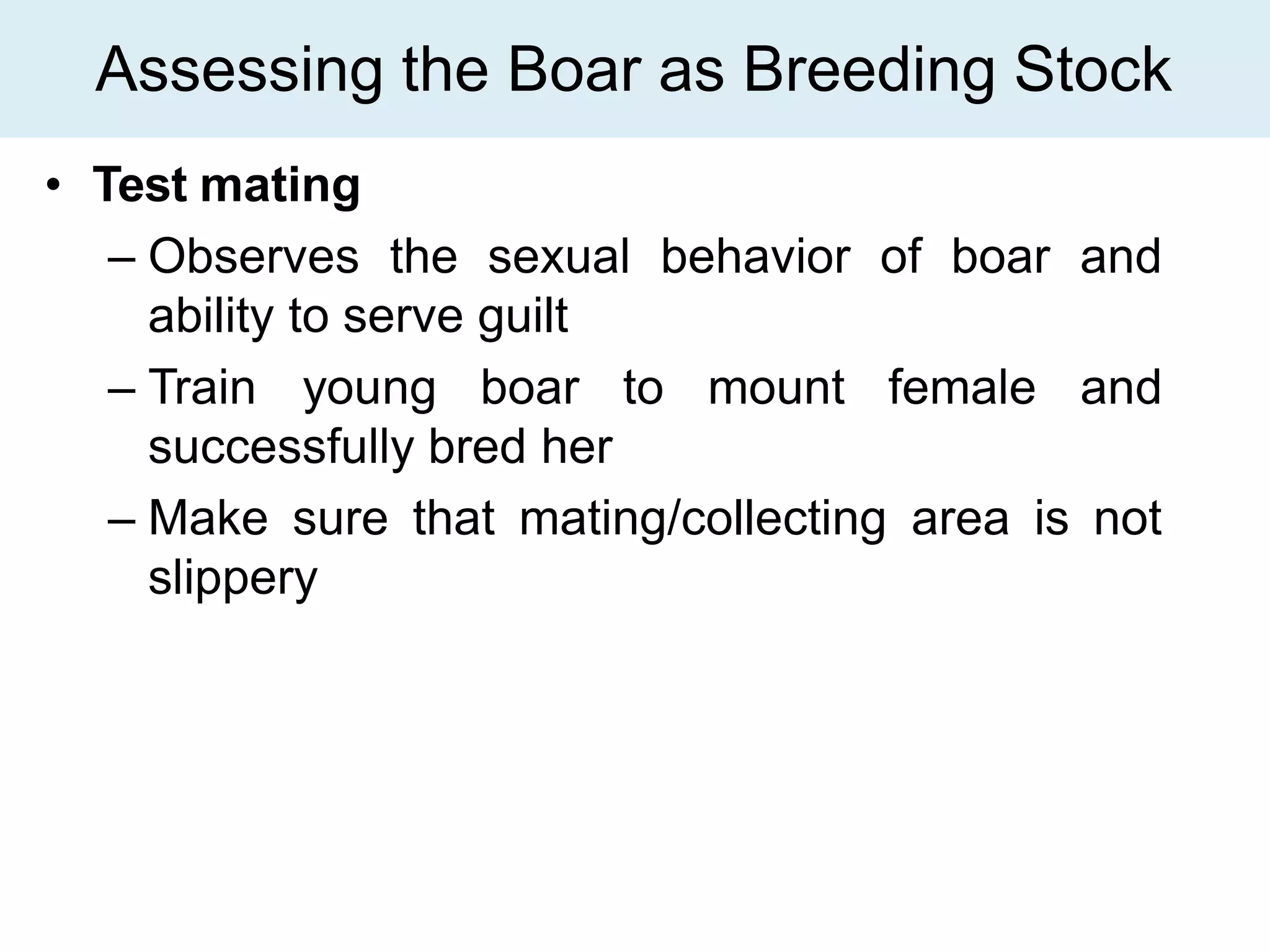 Swine-Production-Management.pptx