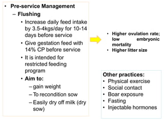 • Pre-service Management
– Flushing
• Increase daily feed intake
by 3.5-4kgs/day for 10-14
days before service
• Give gestation feed with
14% CP before service
• It is intended for
restricted feeding
program
• Aim to:
– gain weight
– To recondition sow
– Easily dry off milk (dry
sow)
• Higher ovulation rate;
low embryonic
mortality
• Higher litter size
Other practices:
• Physical exercise
• Social contact
• Boar exposure
• Fasting
• Injectable hormones
 