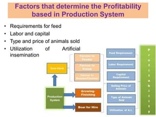 Factors that determine the Profitability
based in Production System
• Requirements for feed
• Labor and capital
• Type and price of animals sold
• Utilization of Artificial
insemination
 