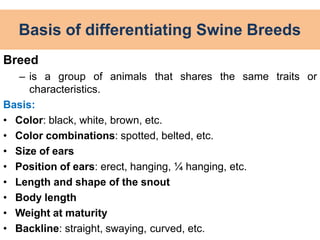 Basis of differentiating Swine Breeds
Breed
– is a group of animals that shares the same traits or
characteristics.
Basis:
• Color: black, white, brown, etc.
• Color combinations: spotted, belted, etc.
• Size of ears
• Position of ears: erect, hanging, ¼ hanging, etc.
• Length and shape of the snout
• Body length
• Weight at maturity
• Backline: straight, swaying, curved, etc.
 
