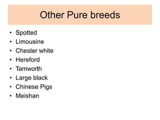 Other Pure breeds
• Spotted
• Limousine
• Chester white
• Hereford
• Tamworth
• Large black
• Chinese Pigs
• Meishan
 