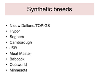 Synthetic breeds
• Nieuw Dalland/TOPIGS
• Hypor
• Seghers
• Camborough
• JSR
• Meat Master
• Babcock
• Cotsworld
• Minnesota
 