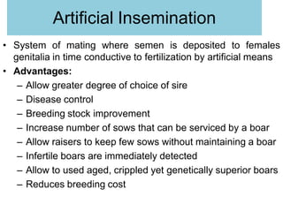 Artificial Insemination
• System of mating where semen is deposited to females
genitalia in time conductive to fertilization by artificial means
• Advantages:
– Allow greater degree of choice of sire
– Disease control
– Breeding stock improvement
– Increase number of sows that can be serviced by a boar
– Allow raisers to keep few sows without maintaining a boar
– Infertile boars are immediately detected
– Allow to used aged, crippled yet genetically superior boars
– Reduces breeding cost
 