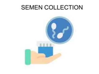 SEMEN COLLECTION
 