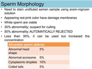 Sperm Morphology
• Need to stain undiluted semen sample using eosin-nigrosin
solution
• Appearing red-pink color have damage membranes
• White sperm are viable
• 30% abnormality; suspect for culling
• 50% abnormality; AUTOMATICALLY REJECTED
• Less than 30%, it can be used but increased the
concentration
Allowable sperm defects
Abnormal head
shape
5%
Abnormal acrosome 5%
Cytoplasmic droplets 10%
Coiled tails 5%
 