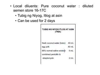 • Local diluents: Pure coconut
semen store 16-17C
• Tubig ng Niyog, Itlog at asin
• Can be used for 2 days
water : diluted
 