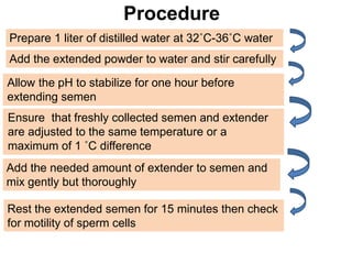 Procedure
Prepare 1 liter of distilled water at 32˚C-36˚C water
Add the extended powder to water and stir carefully
Allow the pH to stabilize for one hour before
extending semen
Ensure that freshly collected semen and extender
are adjusted to the same temperature or a
maximum of 1 ˚C difference
Add the needed amount of extender to semen and
mix gently but thoroughly
Rest the extended semen for 15 minutes then check
for motility of sperm cells
 