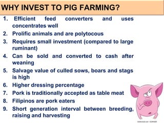 1. Efficient feed converters and uses
concentrates well
2. Prolific animals and are polytocous
3. Requires small investment (compared to large
ruminant)
4. Can be sold and converted to cash after
weaning
5. Salvage value of culled sows, boars and stags
is high
6. Higher dressing percentage
7. Pork is traditionally accepted as table meat
8. Filipinos are pork eaters
9. Short generation interval between breeding,
raising and harvesting
WHY INVEST TO PIG FARMING?
 