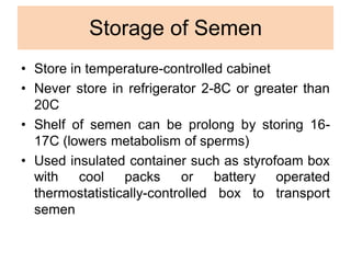 Storage of Semen
• Store in temperature-controlled cabinet
• Never store in refrigerator 2-8C or greater than
20C
• Shelf of semen can be prolong by storing 16-
17C (lowers metabolism of sperms)
• Used insulated container such as styrofoam box
battery operated
box to transport
with cool packs or
thermostatistically-controlled
semen
 