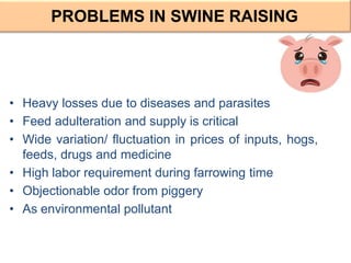• Heavy losses due to diseases and parasites
• Feed adulteration and supply is critical
• Wide variation/ fluctuation in prices of inputs, hogs,
feeds, drugs and medicine
• High labor requirement during farrowing time
• Objectionable odor from piggery
• As environmental pollutant
PROBLEMS IN SWINE RAISING
 
