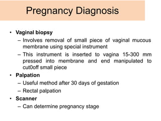 • Vaginal biopsy
– Involves removal of small piece of vaginal mucous
membrane using special instrument
– This instrument is inserted to vagina 15-300 mm
pressed into membrane and end manipulated to
cut0off small piece
• Palpation
– Useful method after 30 days of gestation
– Rectal palpation
• Scanner
– Can determine pregnancy stage
Pregnancy Diagnosis
 