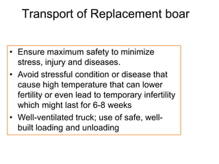 Swine-Production-Management.pptx